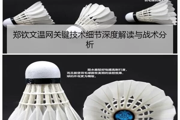 郑钦文温网关键技术细节深度解读与战术分析